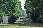 Schloss und Park Luisium, Blick nach Waldersee© MDM / Konstanze Wendt