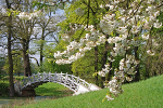 Schloss und Park Luisium, weiße Brücke© Kulturstiftung DessauWörlitz, Bildarchiv, Heinz Fräßdorf