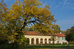 Schloss und Park Luisium, Orangerie© Kulturstiftung DessauWörlitz, Bildarchiv, Heinz Fräßdorf