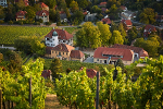 Weingut Hoflößnitz, Blick auf das Gebäudeensemble© Max Schroeder