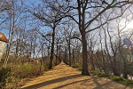 Luisenpark Espachpromenade© MDM / Anne Körnig