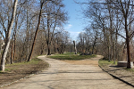 Luisenpark Süden Blick nach Norden© MDM / Anne Körnig