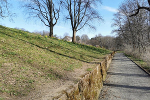 Weg nach Norden zum Dentrologischen Garten© MDM / Anne Körnig