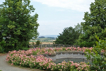 Schlosspark und Landschaftsgarten Ballenstedt© MDM / Konstanze Wendt