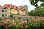 Schlosspark und Landschaftsgarten Ballenstedt© MDM / Konstanze Wendt