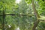 Schlosspark und Landschaftsgarten Ballenstedt© MDM / Konstanze Wendt