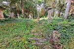 Historischer Friedhof© MDM / Anne Körnig