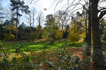 Schlosspark und Landschaftsgarten Ballenstedt© MDM / Konstanze Wendt