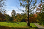 Schlosspark und Landschaftsgarten Ballenstedt© MDM / Konstanze Wendt