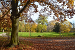 Schlosspark und Landschaftsgarten Ballenstedt© MDM / Konstanze Wendt