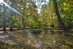 Schlosspark und Landschaftsgarten Ballenstedt© MDM / Konstanze Wendt