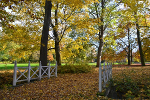 Schlosspark und Landschaftsgarten Ballenstedt© MDM / Konstanze Wendt