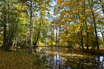 Schlosspark und Landschaftsgarten Ballenstedt© MDM / Konstanze Wendt