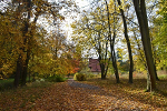 Schlosspark und Landschaftsgarten Ballenstedt© MDM / Konstanze Wendt