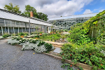 Gewächshäuser Hof mit Teich© MDM / Anne Körnig