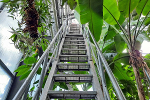 Tropenhaus Treppe zur Balustrade© MDM / Anne Körnig