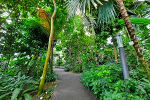 Tropenhaus (Palmenhaus)© MDM / Anne Körnig