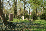 Schloss Ostrau, Schlosspark© MDM / Konstanze Wendt