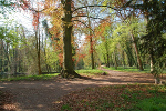 Schloss Ostrau, Schlosspark© MDM / Konstanze Wendt