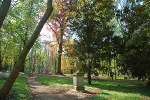 Schloss Ostrau, Schlosspark© MDM / Konstanze Wendt