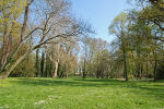 Schloss Ostrau, Schlosspark© MDM / Konstanze Wendt