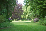 Schlosspark Tangerhütte, Landschaftsgarten© MDM / Konstanze Wendt