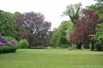 Schlosspark Tangerhütte, Landschaftsgarten© MDM / Konstanze Wendt