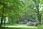 Schlosspark Tangerhütte, Landschaftsgarten© MDM / Konstanze Wendt