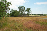 Langobardenwerkstatt Zethlingen: Mühlenberg© MDM / Konstanze Wendt