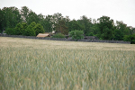 Langobardenwerkstatt Zethlingen: Mühlenberg nach Südost© MDM / Konstanze Wendt