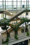 CCL, Rolltreppen im Atrium© MDM