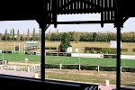 Blick von der Haupttribüne© MDM