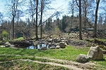 Bärenwald nach Süden© MDM / Konstanze Wendt