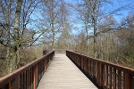 Besucherbrücke am Wolfsrevier nach Norden© MDM / Konstanze Wendt