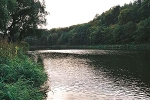 Mulde, Blick nach Süden© MDM