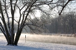 Blick auf das Westufer der Saale© MDM / Konstanze Wendt