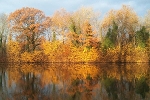 Peißnitzinsel, Blick auf das Westufer der Saale© MDM / Konstanze Wendt