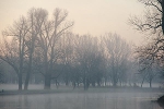 Peißnitzinsel, Blick vom Riveufer nach Süden© MDM / Konstanze Wendt