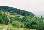 ehemalige innerdeutsche Grenze Blick nach Nordosten© MDM