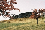 Großer Gegenstein, Südseite© MDM / Konstanze Wendt