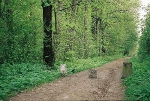 An der Silberhütte Blick nach Süden© MDM