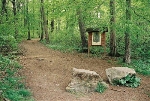 An der Silberhütte Blick nach Süden© MDM