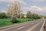 Straße Blick nach Nordwesten© MDM