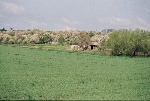 Feld Blick nach Westen© MDM