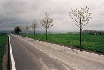 Straße/Blick auf Erfurt nach Osten© MDM