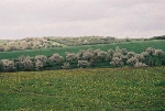 Wiesen Blick nach Süden© MDM