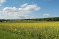 Totale Schlachtberg bei Bad Frankenhausen© MDM / Bea Wölfling