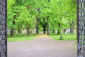 Alter Johannisfriedhof Leipzig© MDM/Katja Seidl