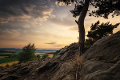 Teufelsmauer bei Blankenburg (Harz)© ohenze / Fotolia.com