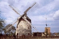 Turmwindmühle Endorf© Grischa Schaufuß